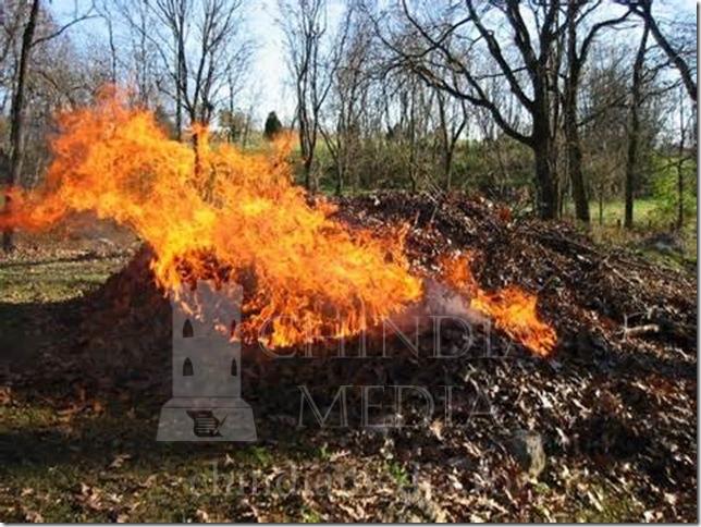 You are currently viewing Garda de Mediu: Arderea frunzelor de la curăţenia de primăvară este poluare