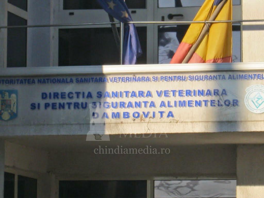 You are currently viewing DSVSA DÂMBOVIŢA: Campanie de vaccinare antirabică a animalelor de companie