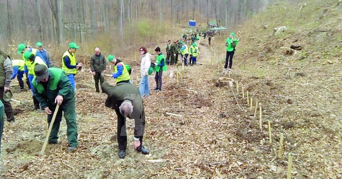 You are currently viewing MINISTERUL PADURILOR: 56 000 de hectare vor fi împădurite prin PNRR până în 2026