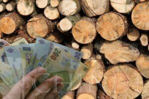 Read more about the article GUVERN: 400 lei pe metrul cub cu TVA inclus – preț plafonat la vânzarea lemnului de foc