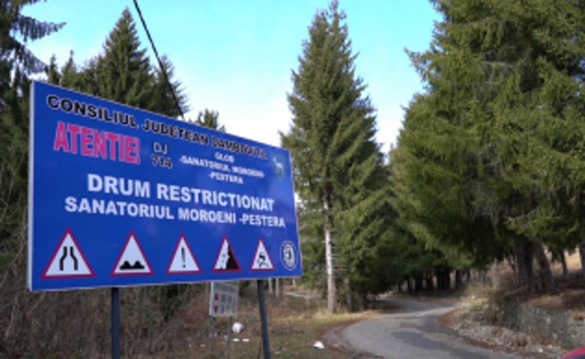 You are currently viewing CJ DAMBOVITA: Execuția DJ 714 Glod – Sanatoriul Moroeni-Stațiunea Padina – Peștera  va fi scoasă la licitație pana la sfârșitul anului 2023