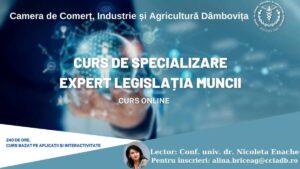 Read more about the article CAMERA DE COMERT DÂMBOVIȚA: Curs de specializare – Expert Legislația Muncii