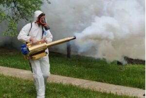 Read more about the article PRIMARIA ULMI: Miercuri, 9.07.2025, acțiune de dezinsecție pe raza întregii comune Ulmi