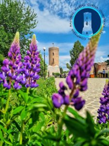 Read more about the article Muzeele Complexului Național Muzeal „Curtea Domnească” Târgoviște, deschise în perioada 10 – 13 aprilie 2026