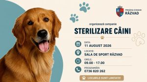 Read more about the article PRIMĂRIA RĂZVAD: CAMPANIE GRATUITĂ DE STERILIZARE A CÂINILOR ÎN COMUNA RĂZVAD
