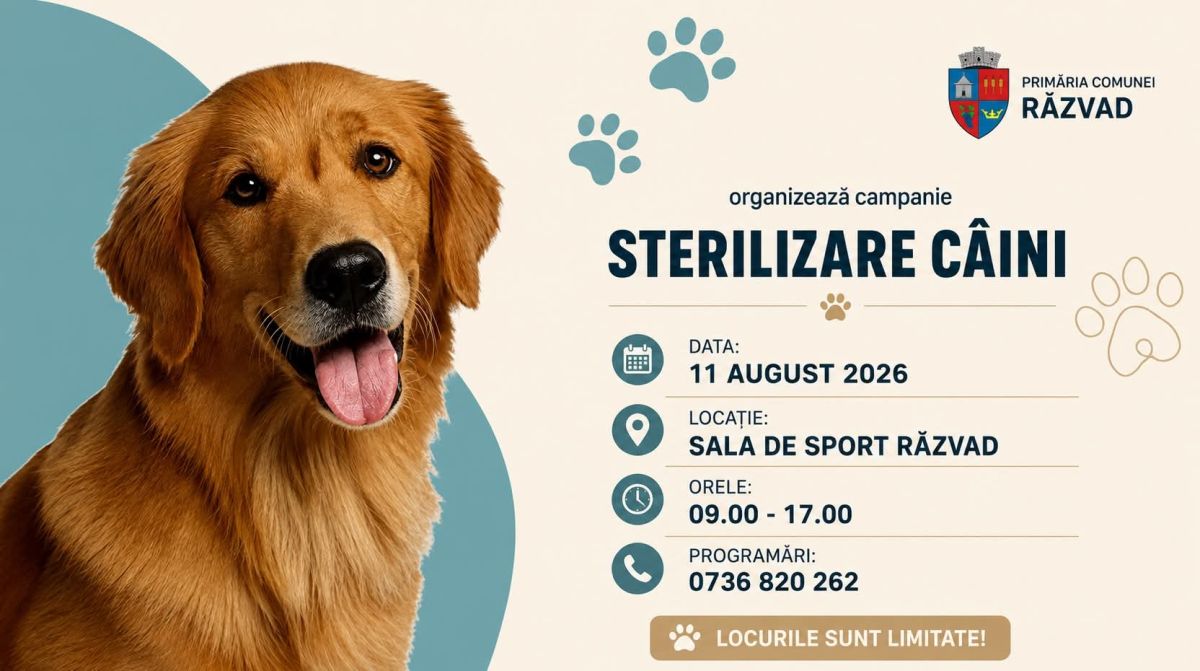 You are currently viewing PRIMĂRIA RĂZVAD: CAMPANIE GRATUITĂ DE STERILIZARE A CÂINILOR ÎN COMUNA RĂZVAD