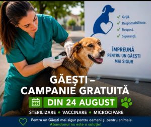 Read more about the article PRIMĂRIA GĂEȘTI: CAMPANIE PENTRU GESTIONAREA CÂINILOR CU ȘI FARĂ STĂPÂN