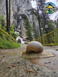 Read more about the article PEȘTERA IALOMIȚEI, DESTINAȚIA IDEALĂ ÎN ZILELE CANICULARE