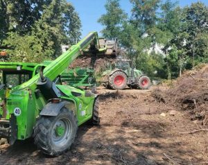 Read more about the article PRIMARIA GAESTI: Începând cu 1 octombrie 2026 se va relua colectarea gratuită a crengilor din gospodării