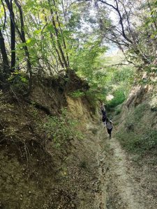 Read more about the article Via Wallachia, tot mai aproape de deschidere: traseul dintre Târgoviște și Bran a fost conturat integral și vizitat de primii turiști