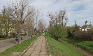 Read more about the article Primaria Municipiul Târgoviște solicită avizul de mediu pentru proiectul „Amenajarea și valorificarea peisagistică a Șanțului și Valului Cetății – etapa a II-a”