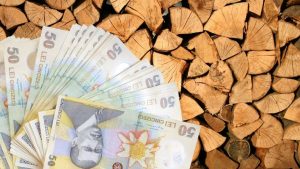 Read more about the article PRIMARIA ULMI: Cererile pentru ajutorul de încălzire se depun din 15 octombrie